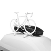 Thule Motion 3 Skikoffer - Skikoffers