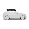 Thule Motion 3 Skikoffer