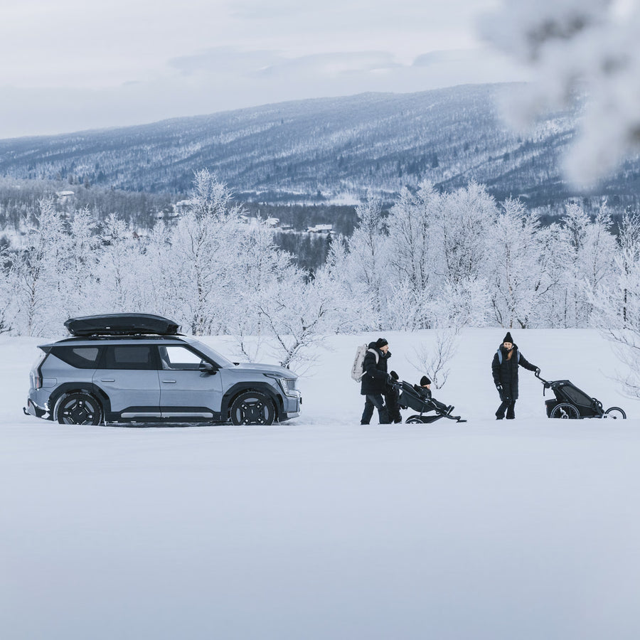 Thule Motion 3 Skikoffer - Skikoffers