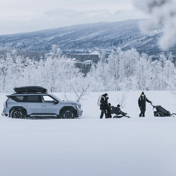 Thule Motion 3 L Titan Glossy – productfoto 4
