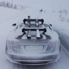 SeaSucker SkiRack op Tesla met ski's