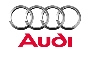 Audi sneeuwkettingen